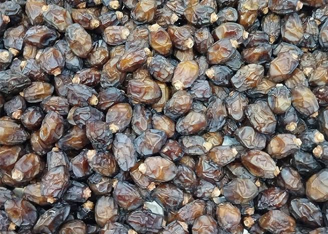 چه اطلاعاتی باید قبل از خرید عمده خرما از تأمین‌کننده دریافت کنیم؟ راهنمای خریداران